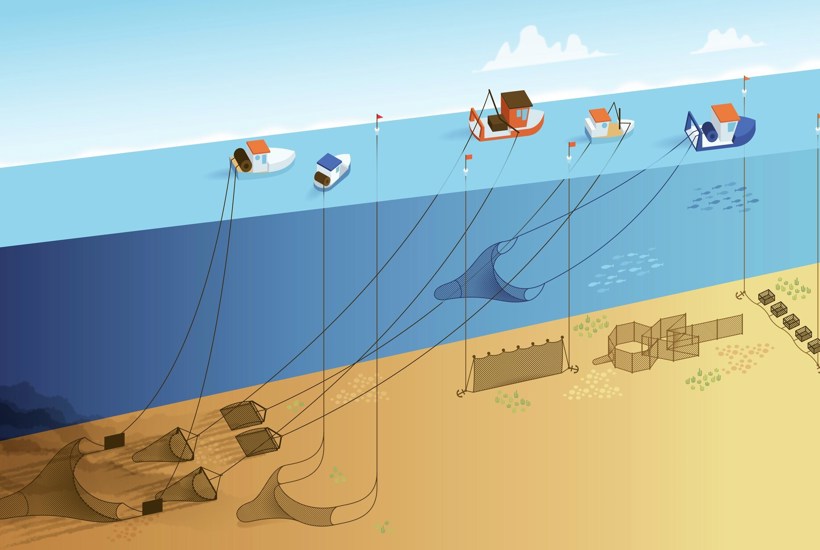 Overblik: Skånsomt eller skadeligt- sådan fanger vi fisk