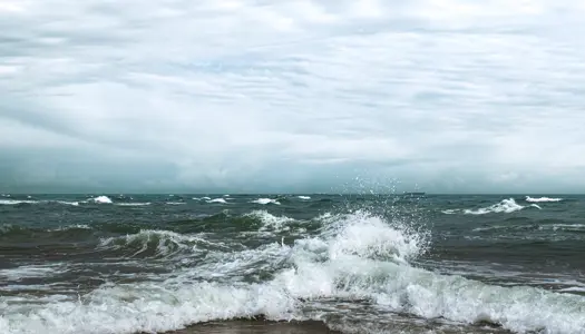 2. Udenlandsk olieaffald ender i dansk hav: IWS i Storebælt 