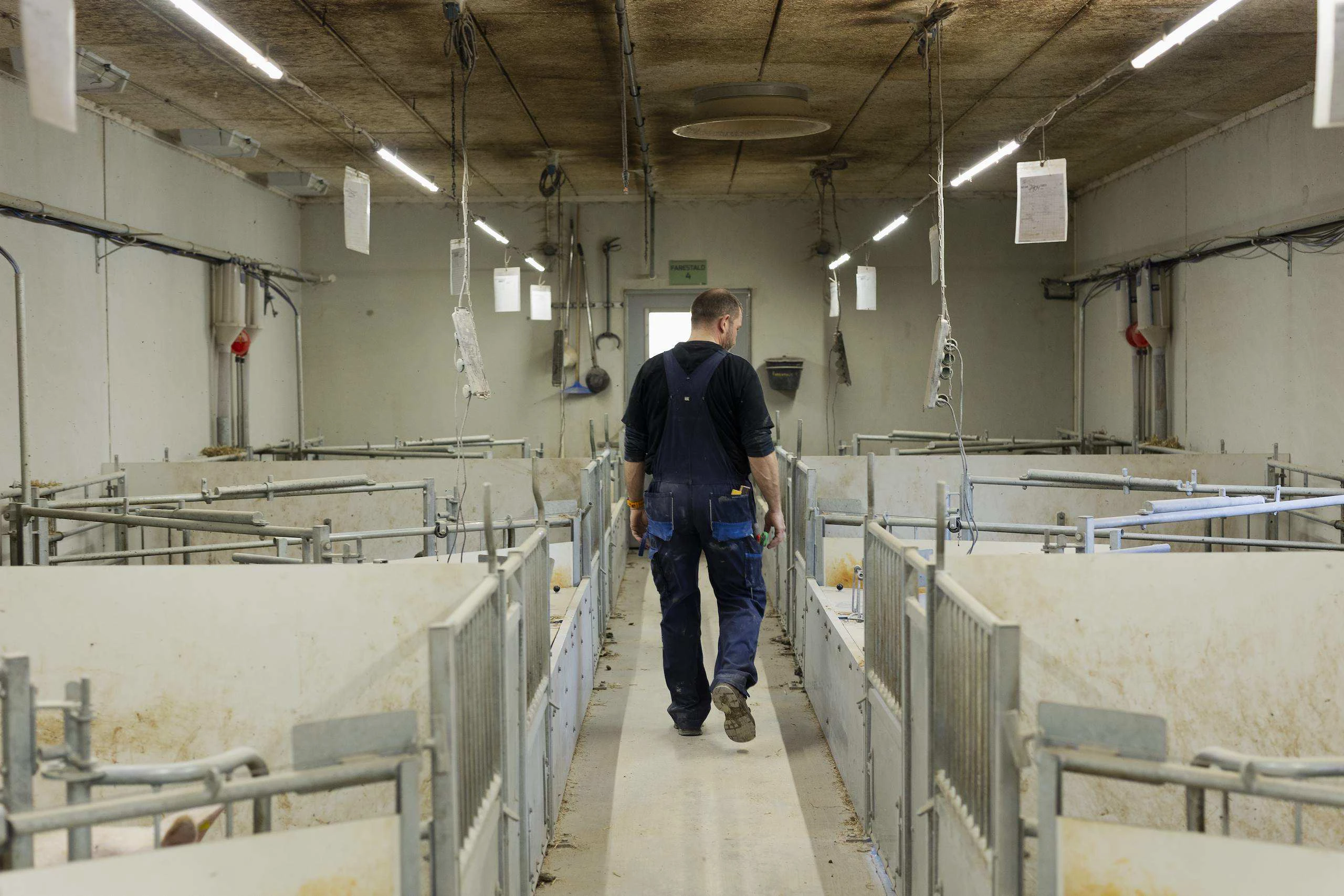 Todo