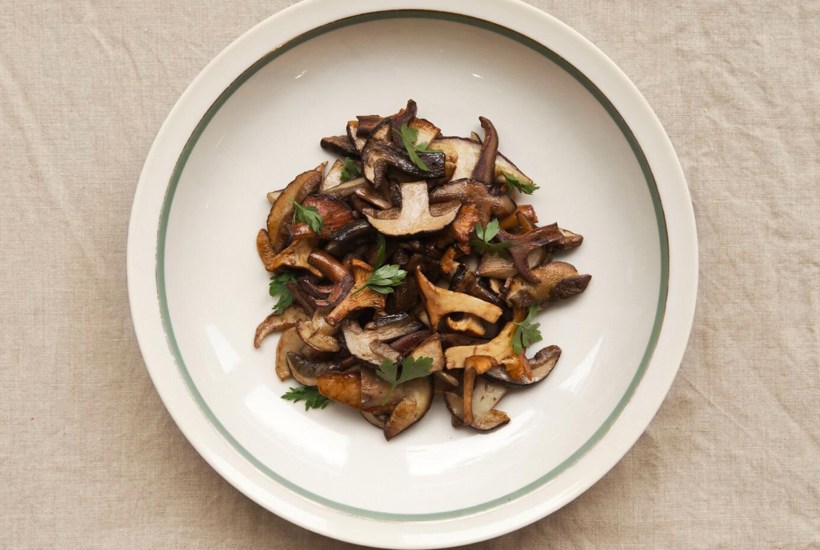 3 opskrifter med efterårets svampe 