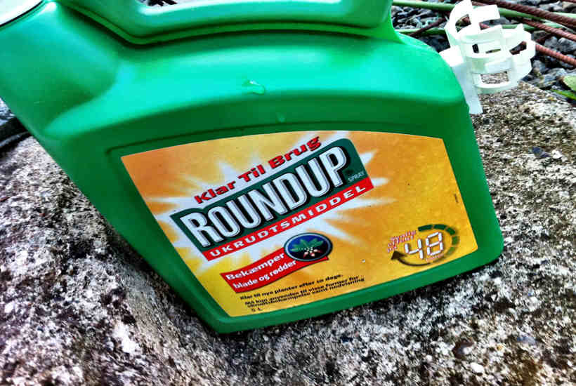 Regeringen svigter miljøet ved at forlænge tilladelsen til Roundup