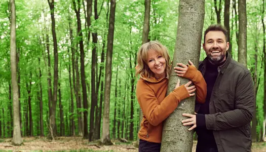 Danmark planter træer