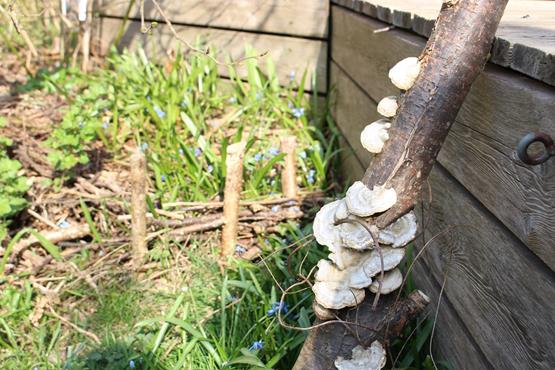 1) Drop "haveaffald"