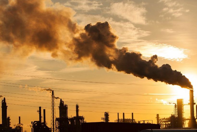 Overset rapport afslører: Regeringens klimapolitik dumper