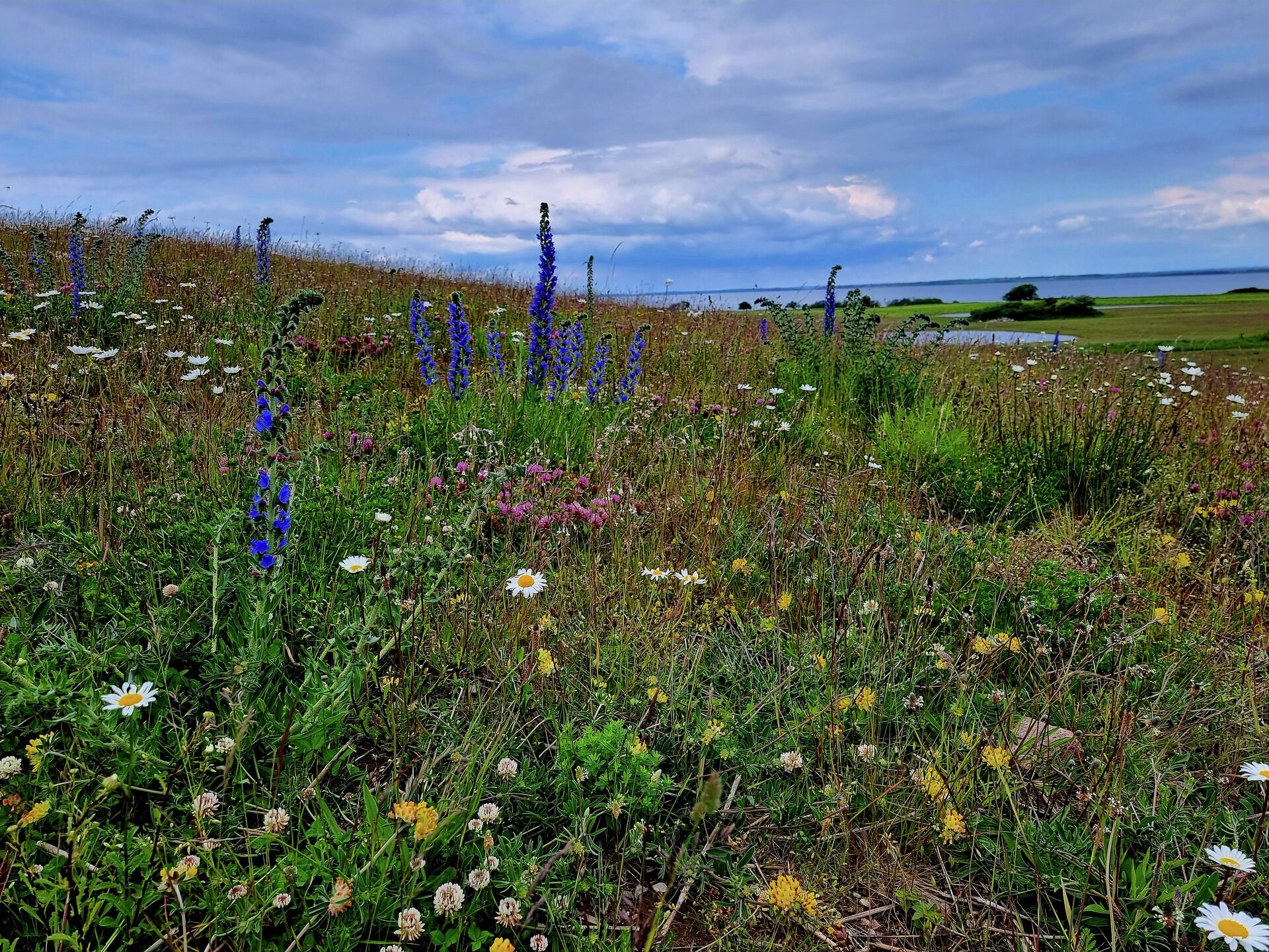 Få vores medlemsmagasin