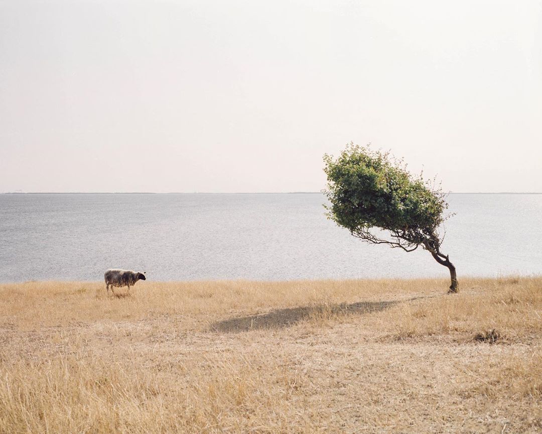 16. Forvandlings-landskab på Fyns Hoved