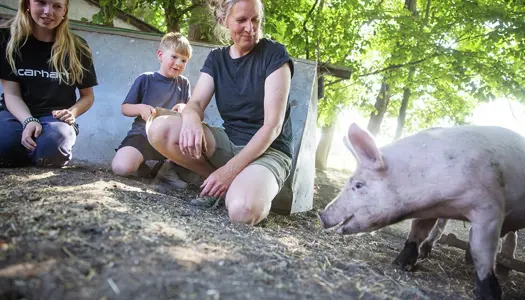 Et frugtbart og forpligtende samarbejde