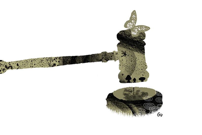 Tænk, hvis naturen kunne lægge sag an …