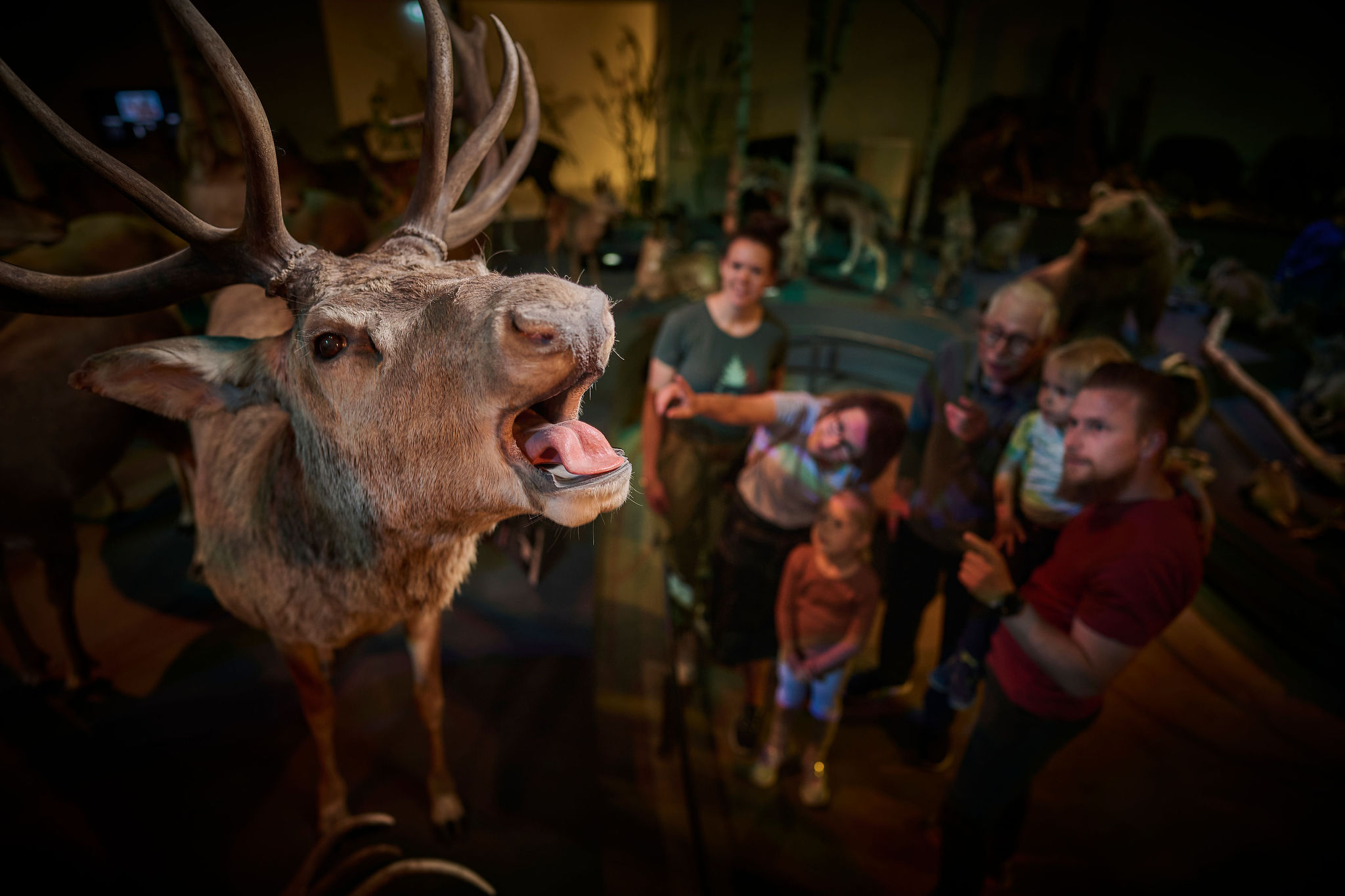 240518Naturama0282.jpg (1)