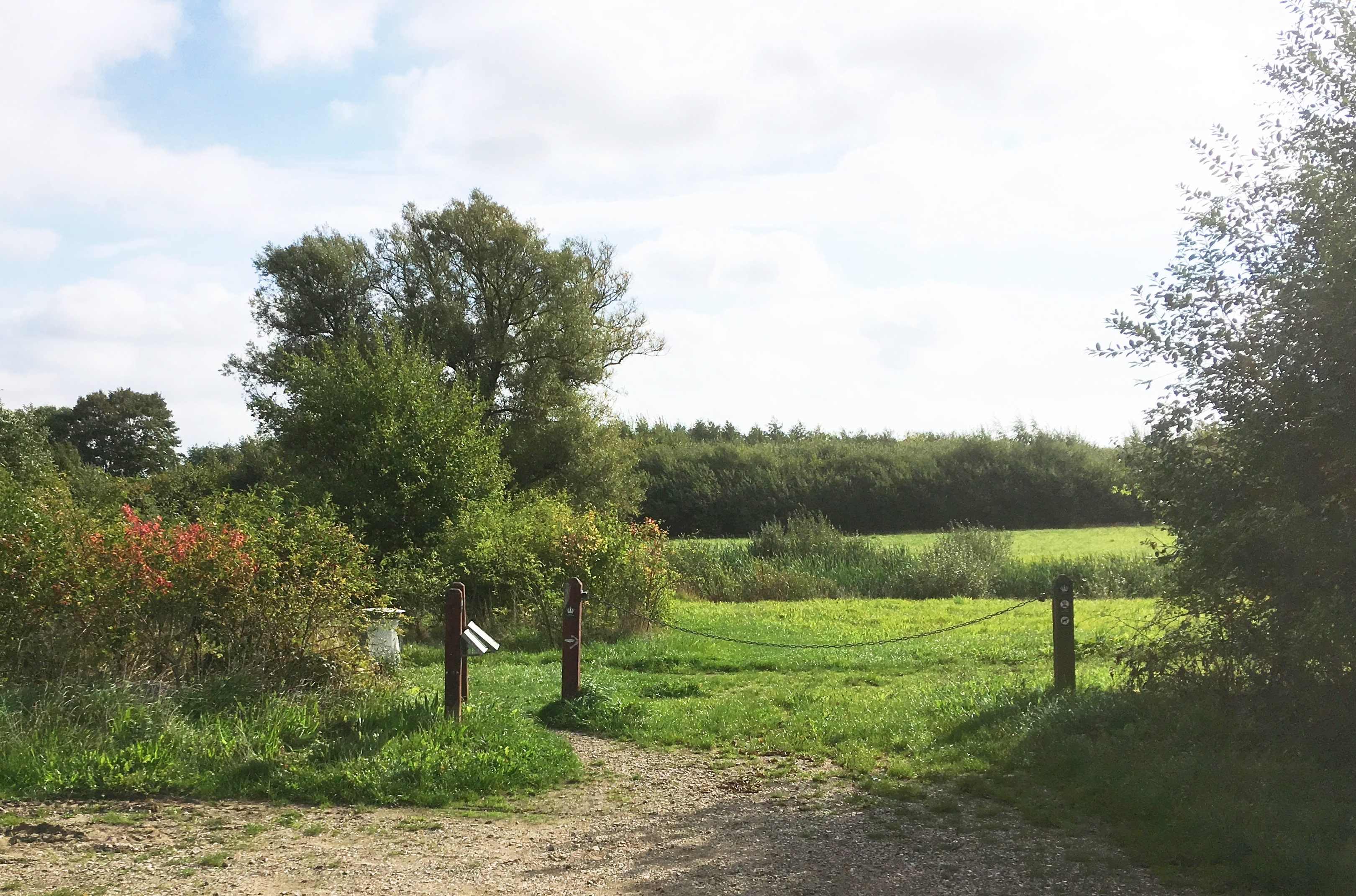 Danmarks mindste og sjoveste skov: Nøffelskoven