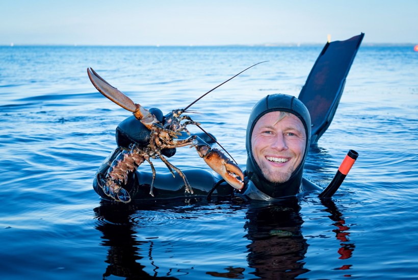 Når havet dør, rammer det danskere i kystkommuner