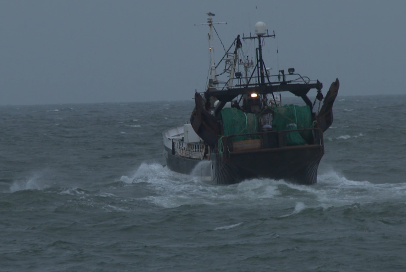 Bundtrawl dræber op mod halvdelen af bunddyrene i havet