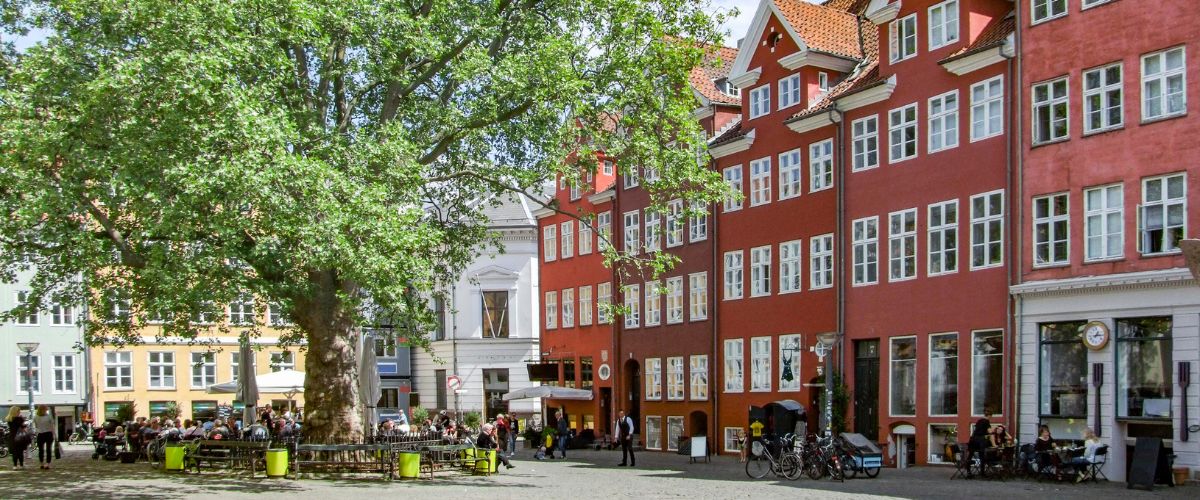 Dit træ er klimavenlig aircondition  