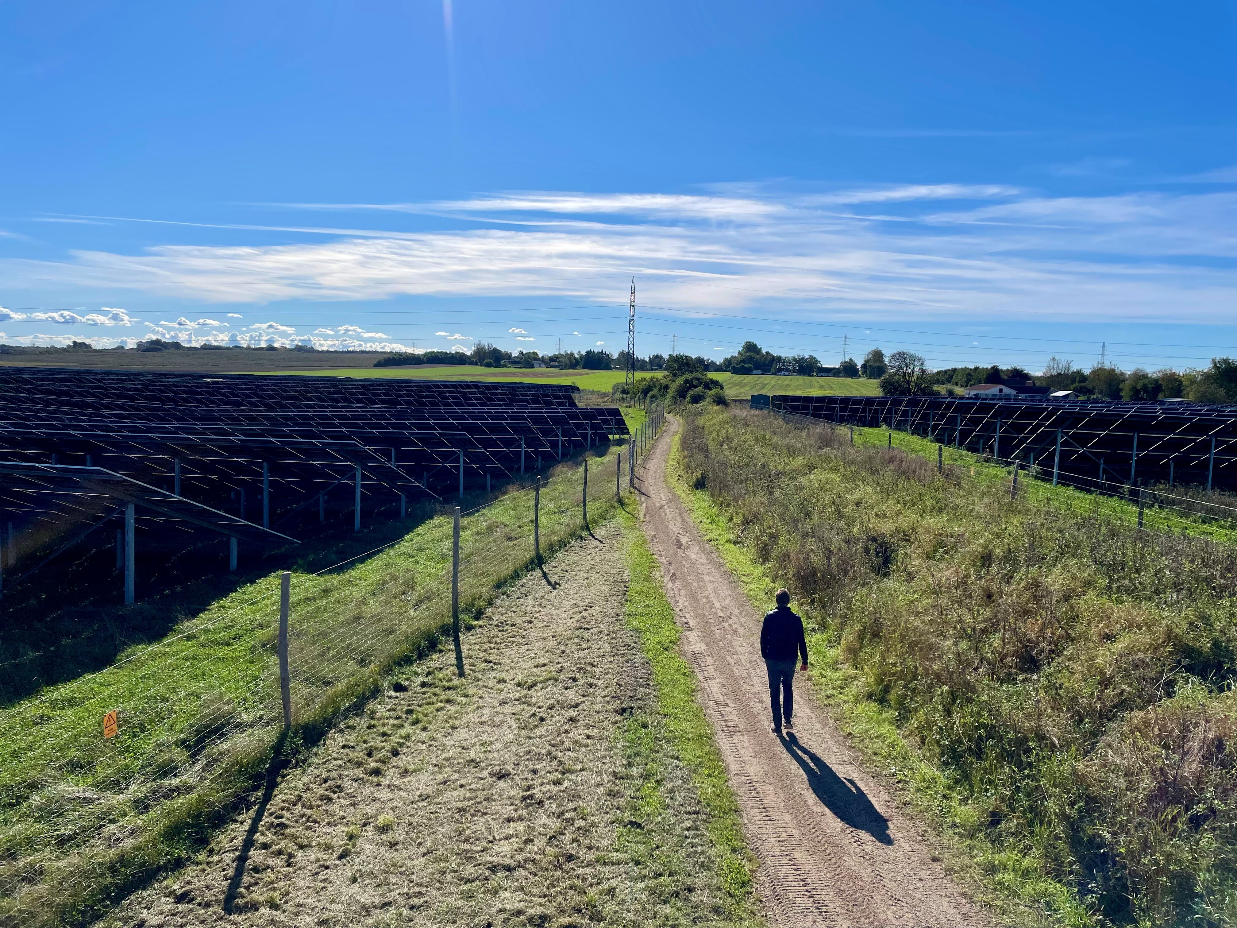 Fagligt indhold og resultater