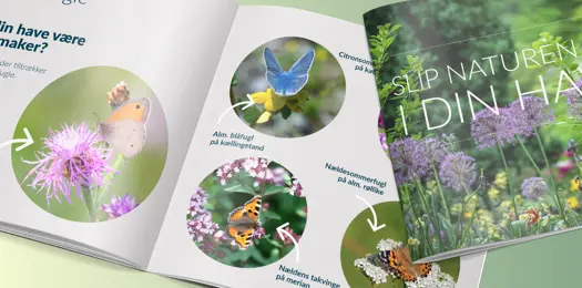 Få sommerfugleguiden