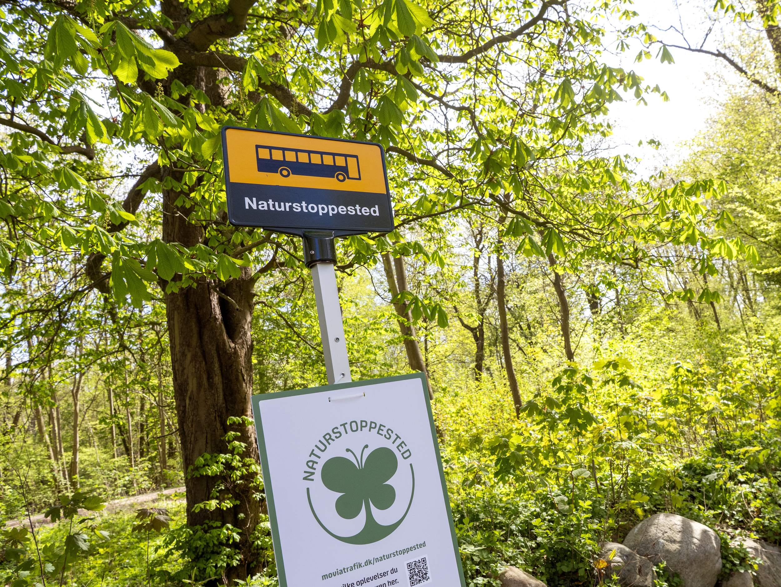 Naturstoppesteder skal få flere børnefamilier ud i naturen