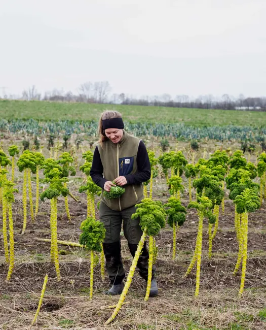 Tre landmænd kæmper for et sundt og bæredygtigt landbrug 