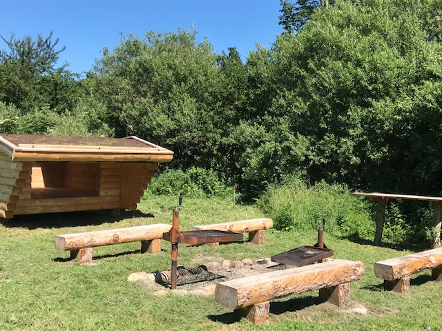 Nat i naturen ved Gørlev sø