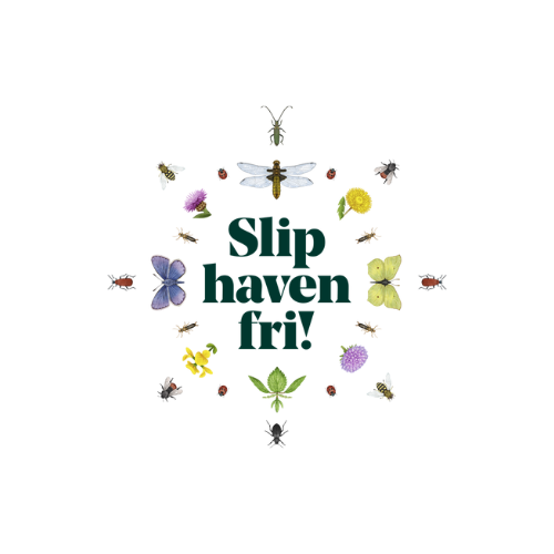 Få gratis tips og inspiration