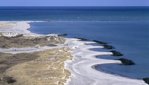 Vil du være med til at beskytte enestående natur i Danmark? 