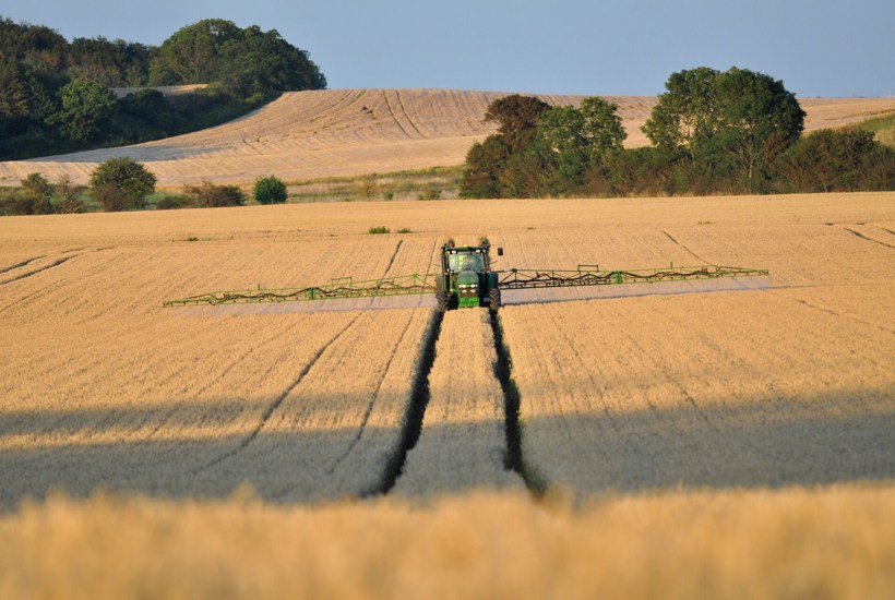 Tonsvis af PFAS-pesticider sprøjtes på danske marker