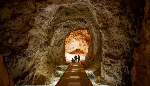 Støt DN og få fordele