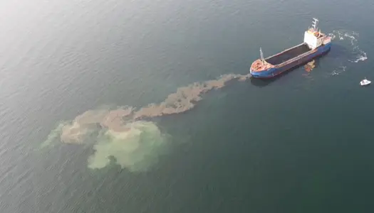 Spildevand og havneslam forurener Øresund 