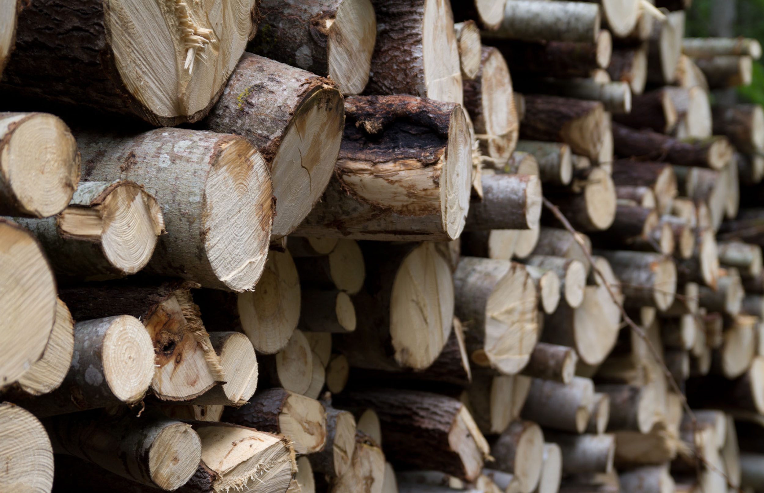 Skal ikke koste flere brændte træer