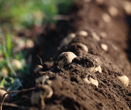 nyhedsbrev kvadrat (2).jpg