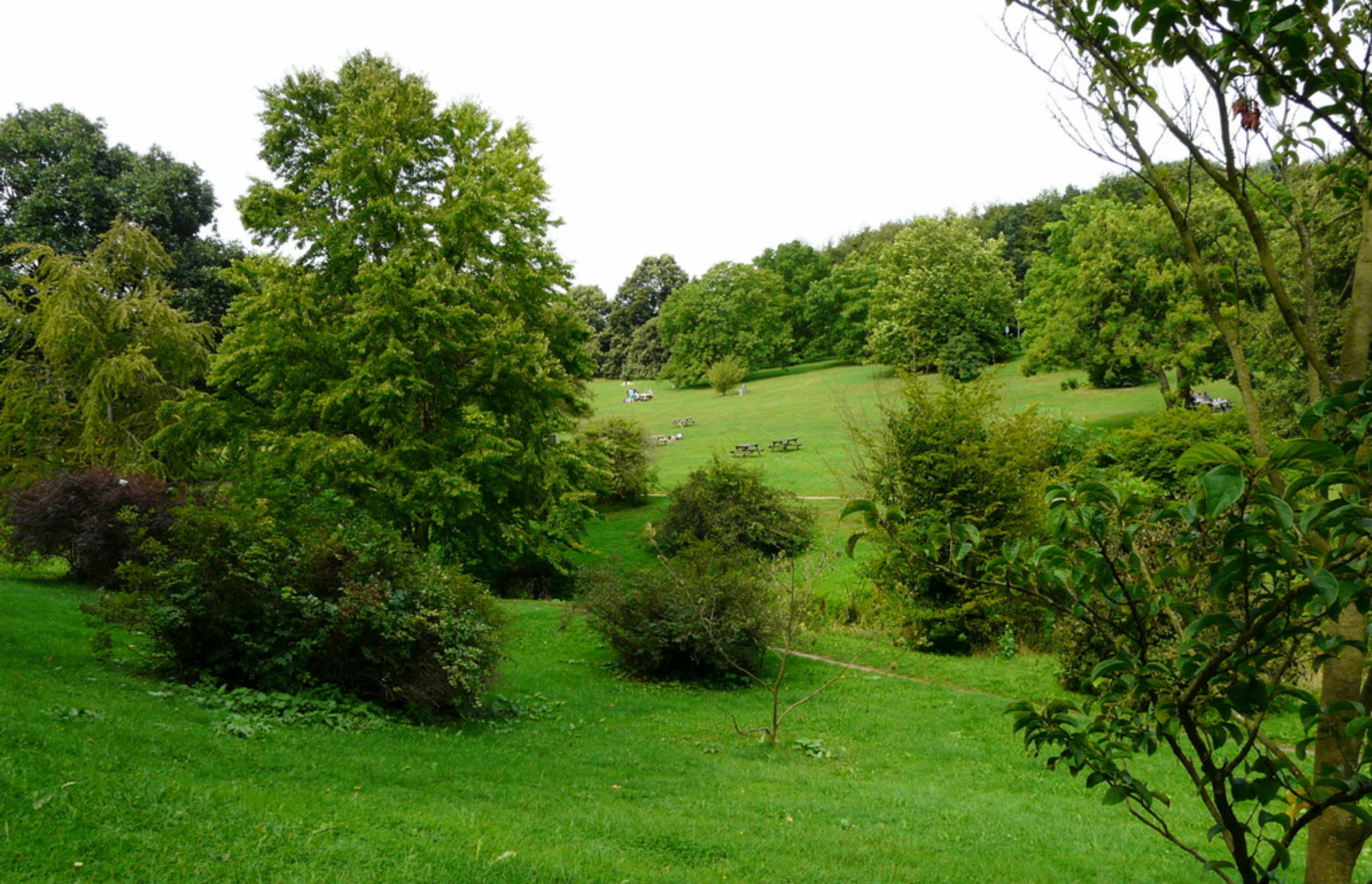 Botanisk Have i Aarhus