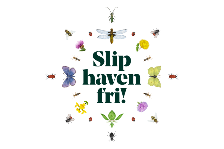 Få gratis tips og inspiration