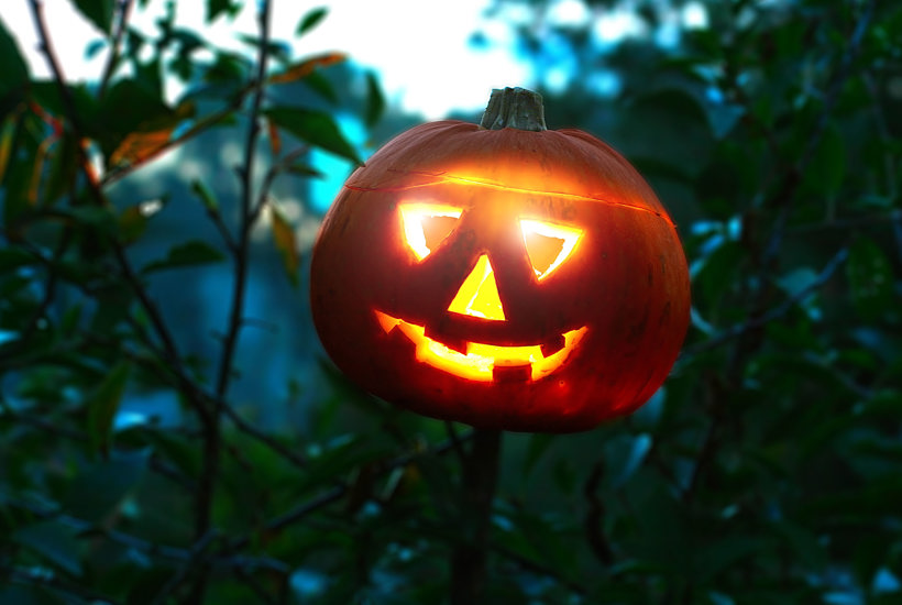 Sådan laver du skøn mad med græskar