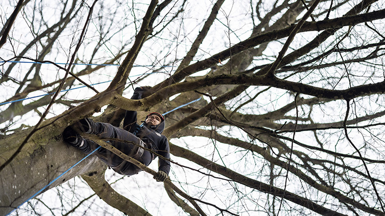 Kan jeg klatre i træer, kan jeg også klare skolen