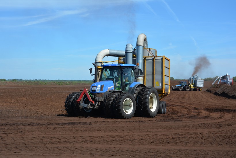 Sjælden natur ødelægges: Derfor skal du undgå at købe spagnum