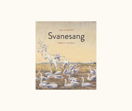 Vestkystens eventyrlige fugleliv