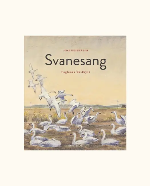 Vestkystens eventyrlige fugleliv