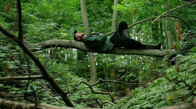 Når naturen værker