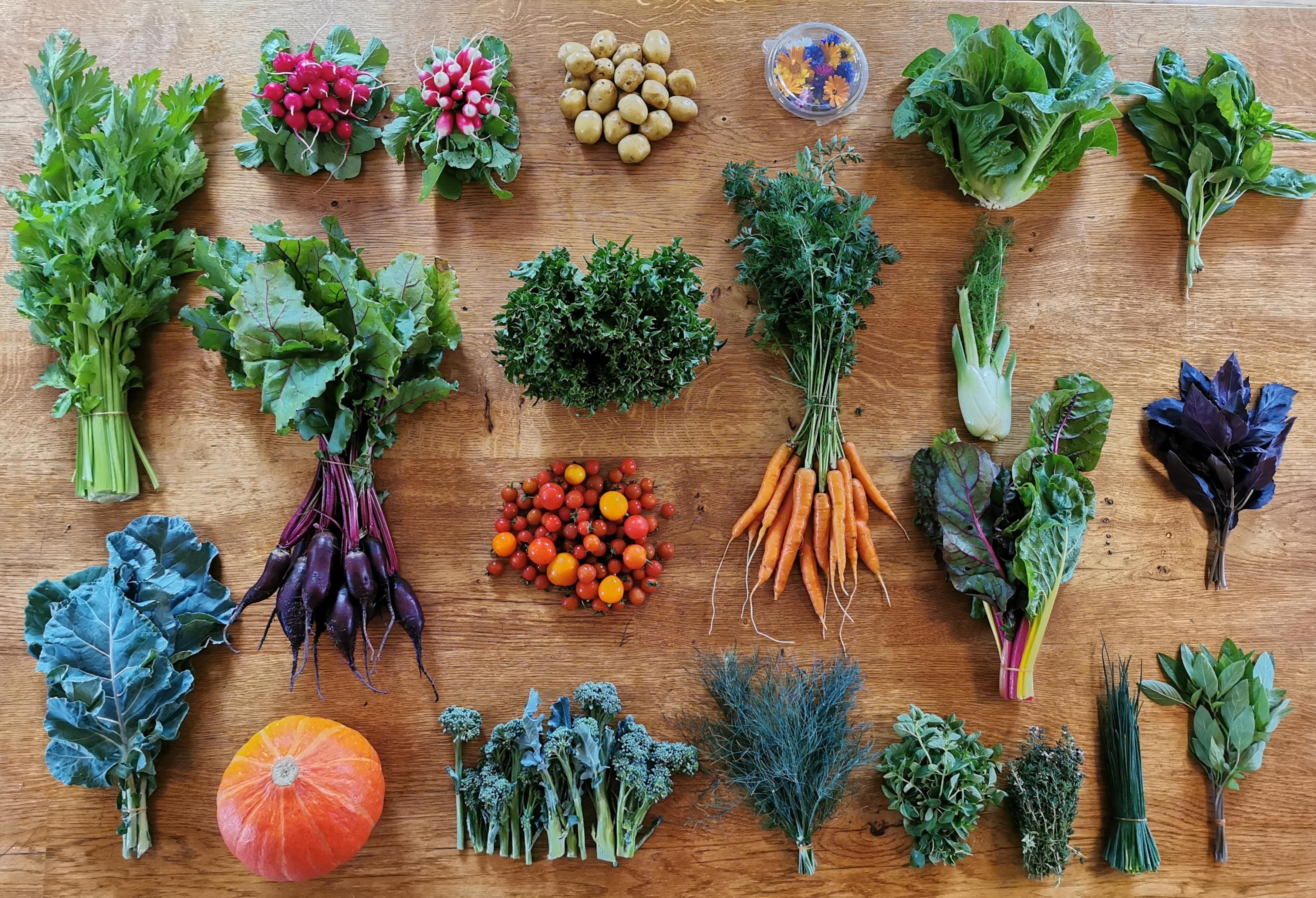 Et nyt landbrug er løsningen