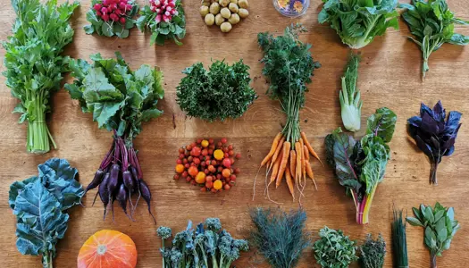 Et nyt landbrug er løsningen