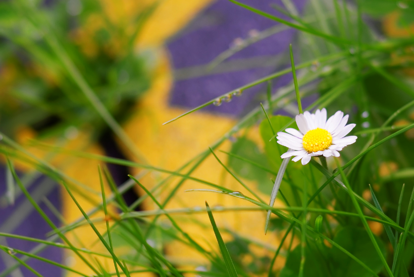 Kontroversiel udvikling: Dansk virksomhed står bag mini-atomreaktor