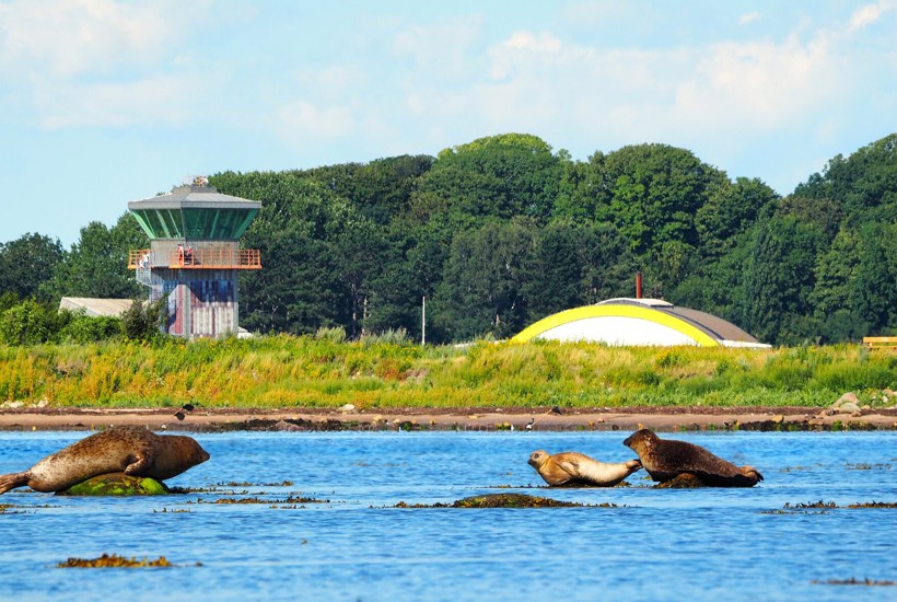 Alle danske fjorde har det skidt – undtagen én 