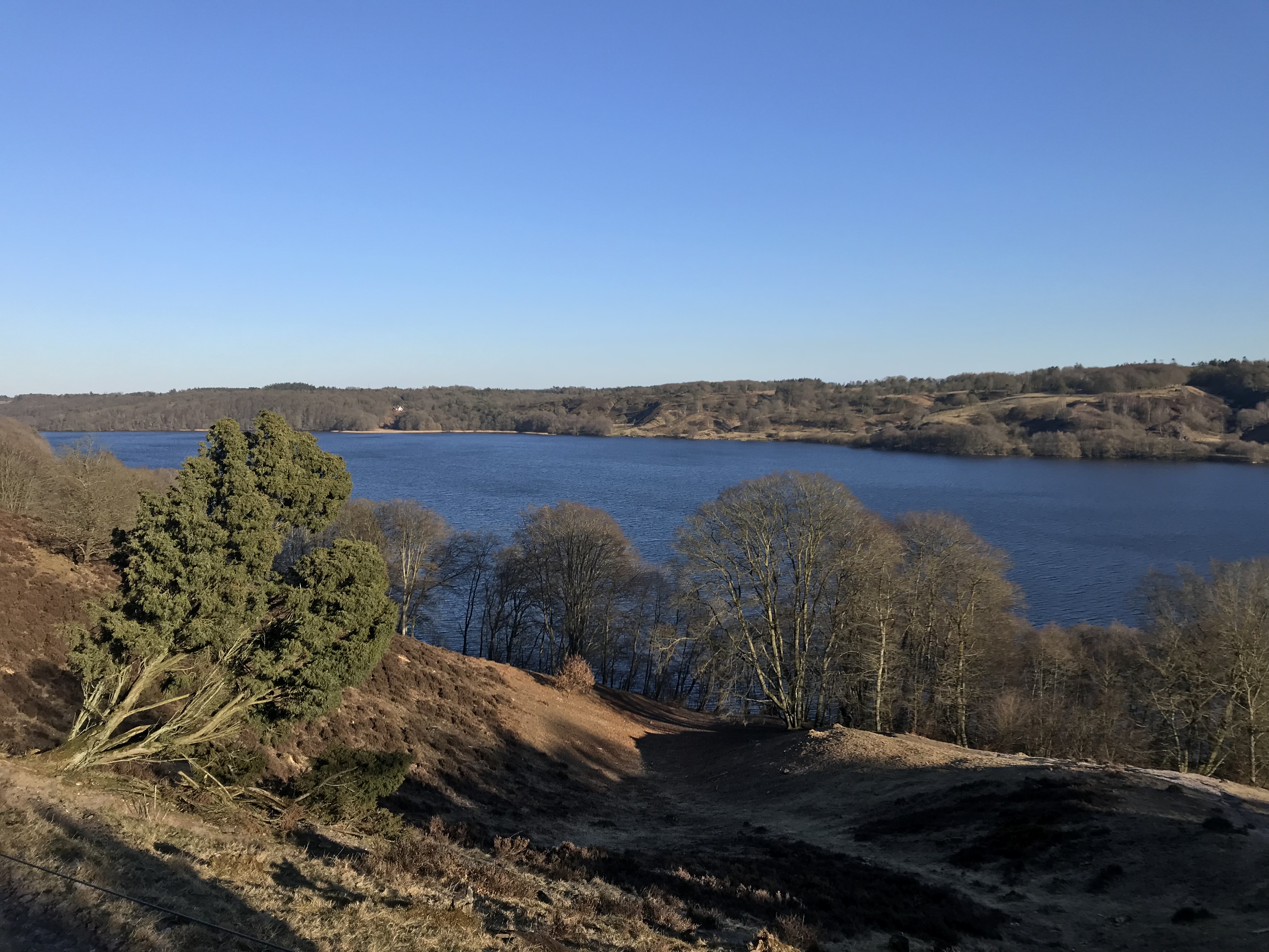 12. Hald Sø: Et minde om istiden