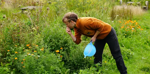 Kom og vær med i FLOR