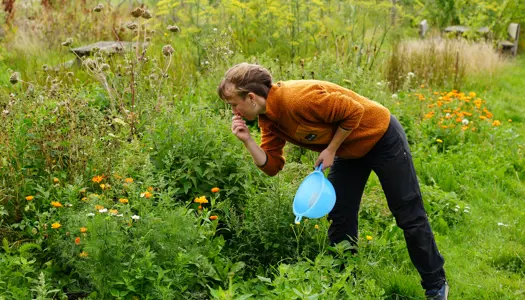 Kom og vær med i FLOR