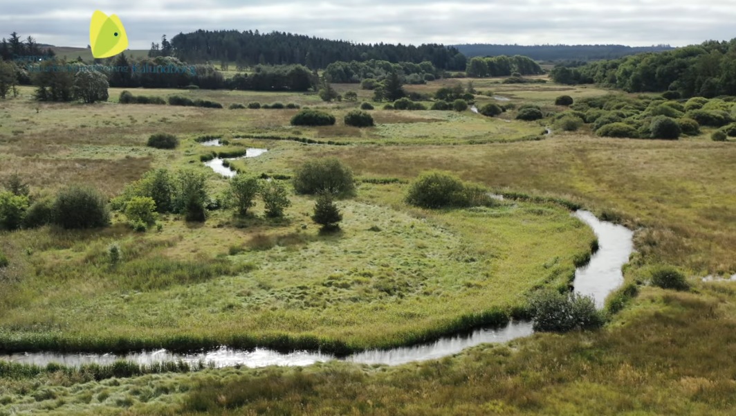 Giv landskabet tilbage til åen