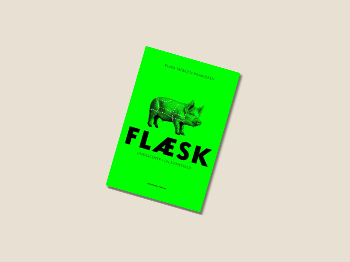 Køb "Flæsk" i DN's webshop