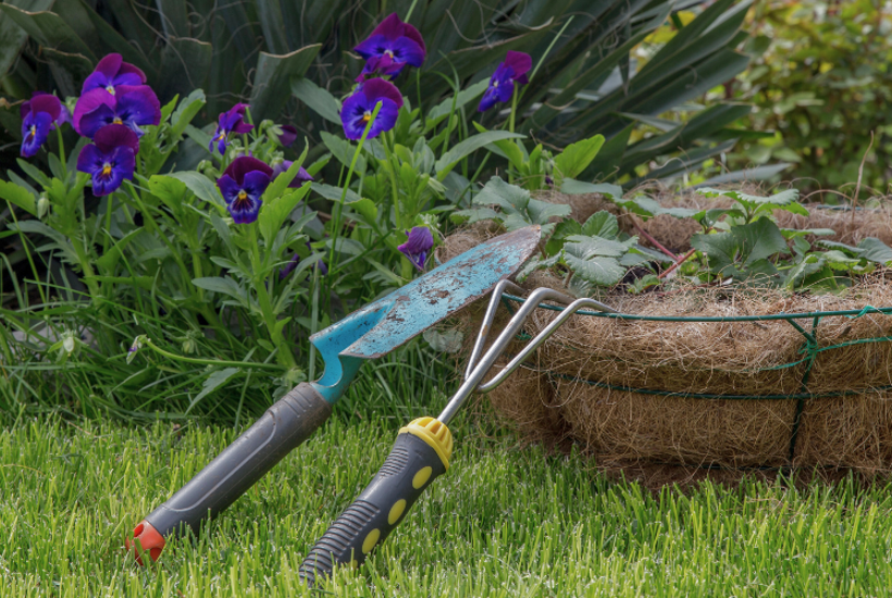 Spagnum: Derfor er alternativer en god idé