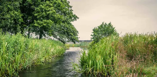 13 vidunderlige søer og vandløb i Danmark