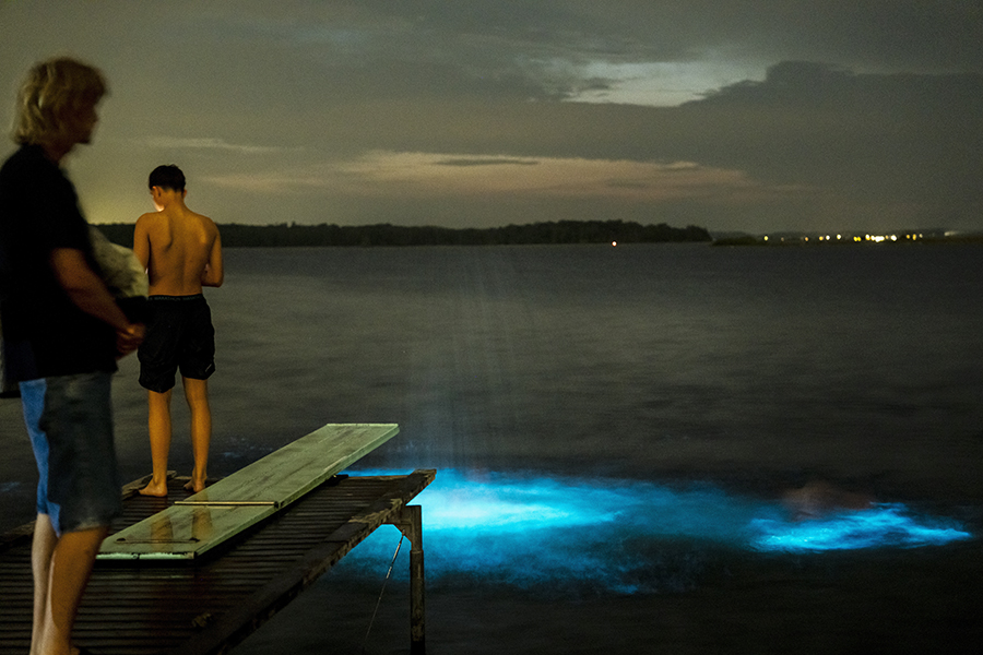 Fantastiske skabninger: Selvlysende alger lyser havet op