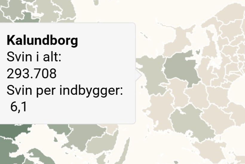 Hvor mange grise i Kalundborg?
